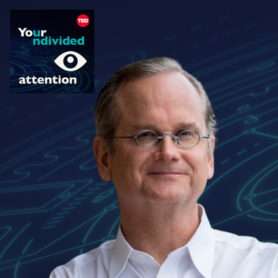 They Don't Represent Us with Larry Lessig